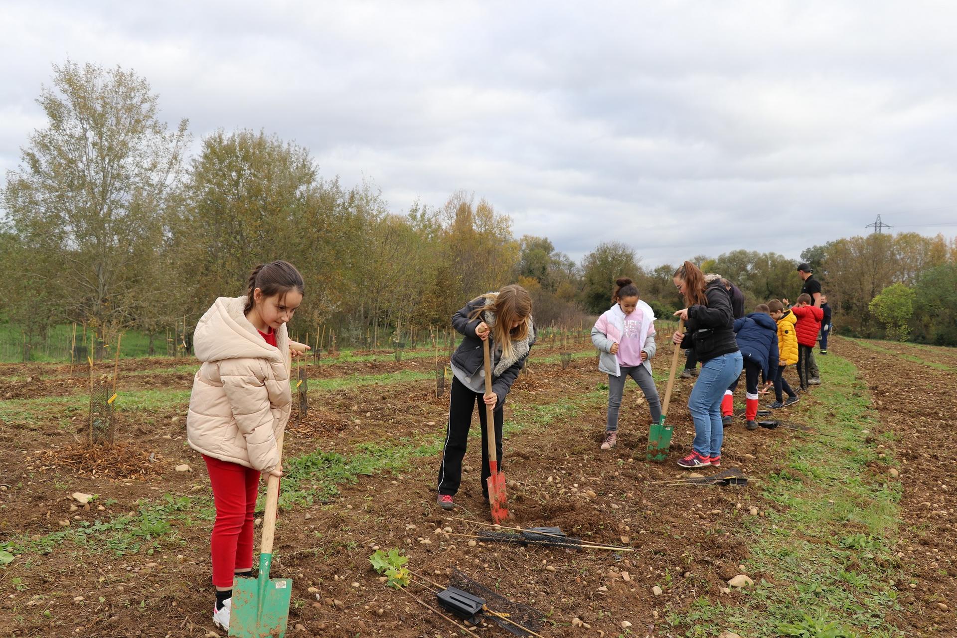 Plusieurs enfants plantent un arbre