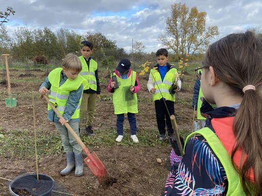 10 000 enfants pour une forêt