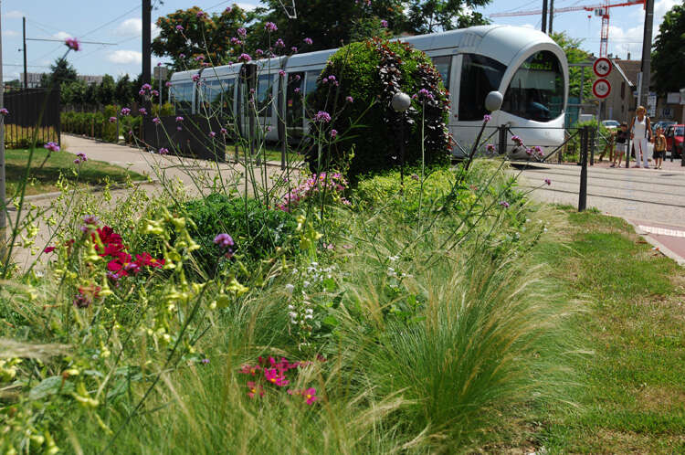 Tramway T3 avec parterre de fleurs devant