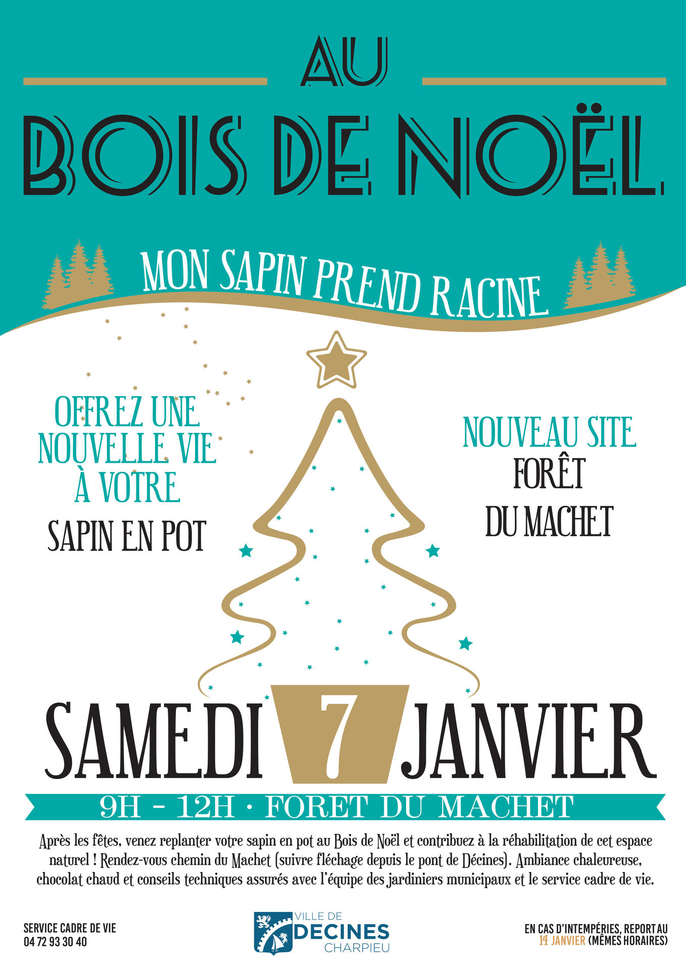 Affiche Bois de Noël